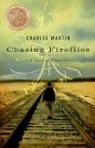 Chasing Fireflies